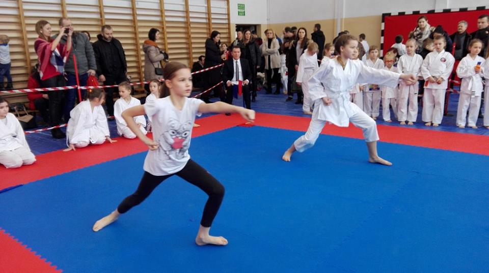 karate1